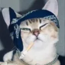 shulkerekhe