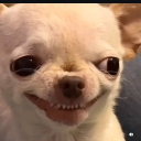 avatar R.P.O. ext 400