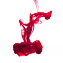 redsurfer5495