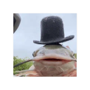 soyfestcgv