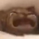 uitukjf
