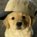 owcakooo