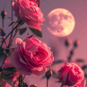 avatar إسراء 🩷