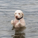 avatar Cwelina (ง'̀-'́)ง