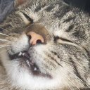 avatar Cwelina (ง'̀-'́)ง