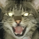 avatar Cwelina (ง'̀-'́)ง