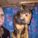 getorek