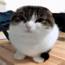 Аватар lev2050