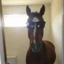 flurcxyxd