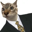 meowisallthereis avatar