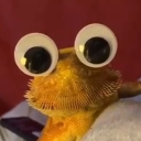 avatar NotADrugDealer