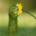 felxlamp