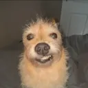 Аватар runline