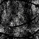 nodop1370