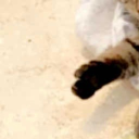 avatar La chicha lé à 1néro