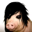 tom4sss