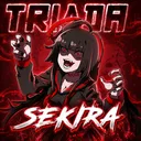 sekira1337