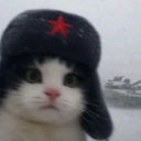 avatar ̶ᴀ̶ɴ̶ᴀ̶ʙ̶ᴏ̶ʟ̶ɪ̶ᴋ̶ᴀ̶