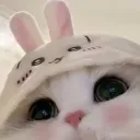 meron_maron