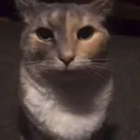 over_heaven1000 avatar