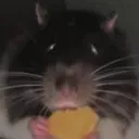 backroomsman123 avatar