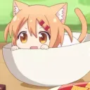 nanami8451