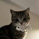 Discord Avatar