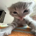 nakaxxz