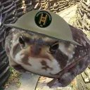 tsarfroggy