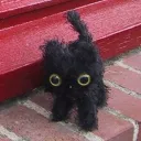 stinkycatto