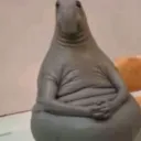 pusheenka1