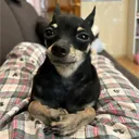 lampie123