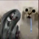 ٴ