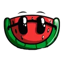 mr.melonslice