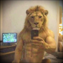 avatar 𝐃𝐢𝐦𝐨𝐯𝐬𝐤𝐢