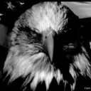 avatar KCTHEREAPER69