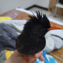 andytseng_99682's Avatar