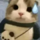 damienapril