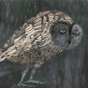 avatar Pooptinivus ariyaelidas the LXIX