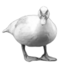 avatar fraud corporation