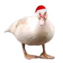 avatar Jolly fraud corporation