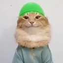 snowtidpik