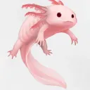 .kingofaxolotls