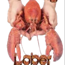 lober_dingle