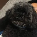 p0ntaka