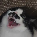 leejunheok
