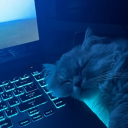 avatar N3SsaAlw4ysKn0w