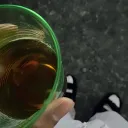 ybbeast