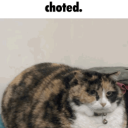avatar choted
