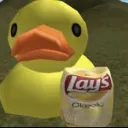 your_local_duck12343 avatar